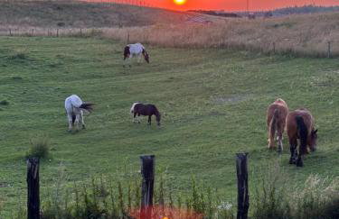 Leśny Zakątek - Mazury - Warmia - jezioro Dadaj - Foto 2