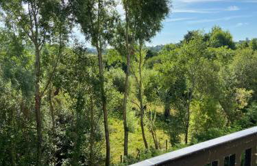 Vue mer et verdure - Foto 16