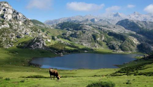 Mi Cachito de Asturias - Foto 3