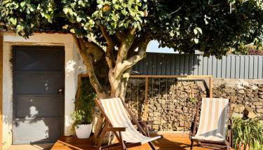 Casa de Campo - Country House - Esposende - Foto 4