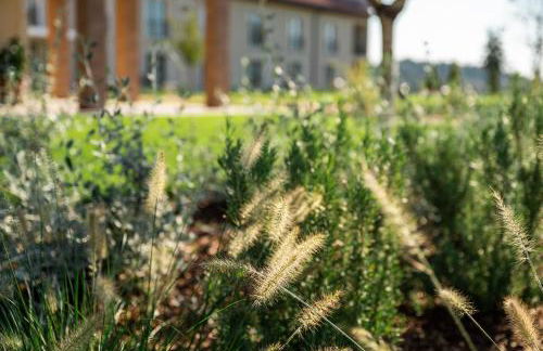 Agriturismo Maria Vittoria - Foto 140