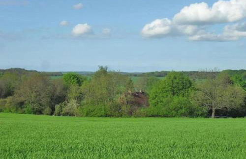 Peaceful Escape in Neu Karin - Foto 58