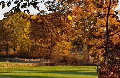 Ferienwohnungen Warnken - Foto 29