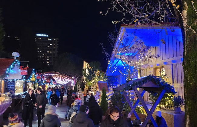 Montreux holiday home - Foto 60