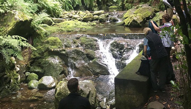 Levada do Rei - Levada do Rei - Foto 4