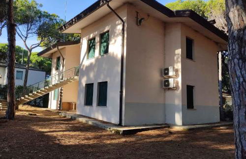 Holiday home in Eraclea Mare 43496 - Foto 1