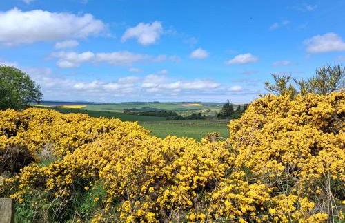 Cabin View - Foto 14