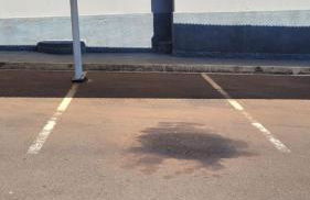 Lotus ao lado do Hu - Foto 25