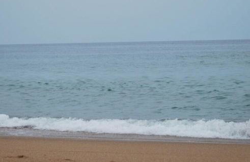 Ocean Dream - Foto 39