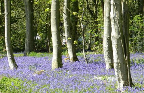 Stables Cottage - Foto 27