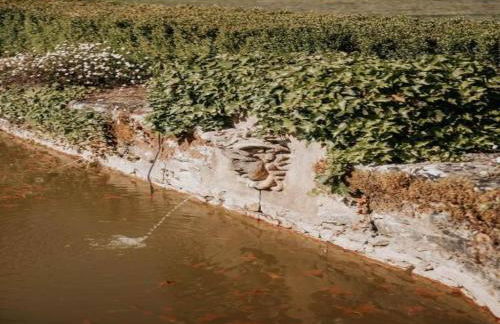 Appealing Apartment in Vezac With Swimming Pool - Foto 144