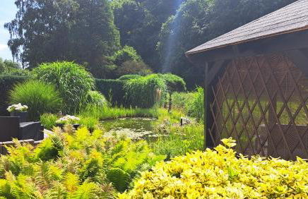 OREA Ferien-Appartment nähe Nürburging Rhein Ahr Eifel--- NEU NEW RENOVIERT - Foto 7