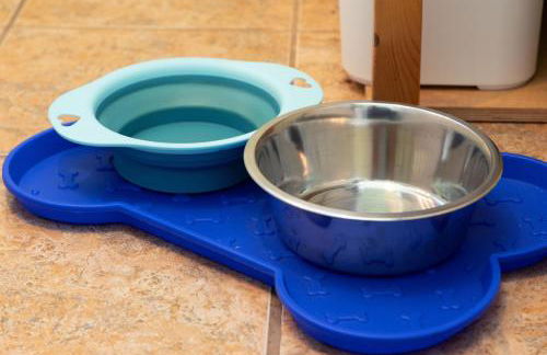 FeWo Harzer Bergwind Sankt Andreasberg, 1 Hund bis 30Kg willkommen, große eingezäunte Terrasse mit Gasgrill - Foto 14