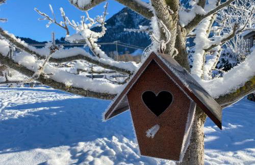 Haus Oyben - Foto 38