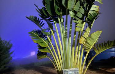 Chalés do Abraão - Foto 46