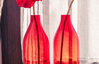 Ferienwohnung Meier Eveline - Foto 14