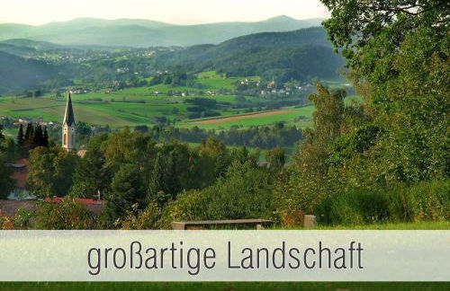 Hütte41: Ganze Hütte nah am See mit privatem Whirlpool, Sauna. Umzäunt. - Foto 24