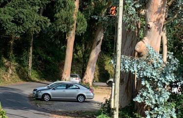 La Casa de la Abuela - Foto 20