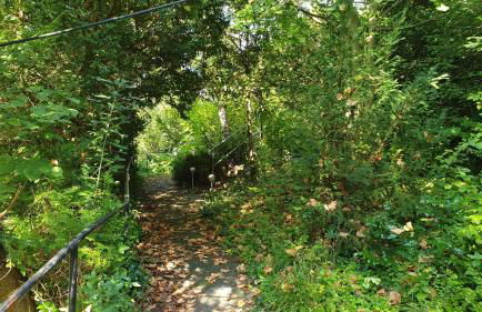 Ferienhaus mit großem Garten - Foto 24