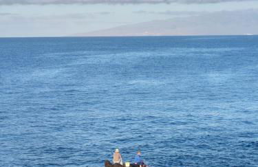 Finca Don Victor - Foto 35