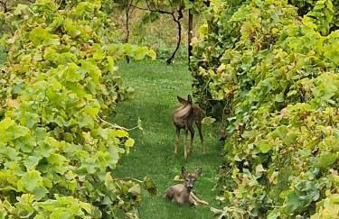 Casa Solaris - Foto 56