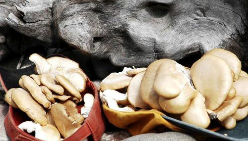 Rustic Log Cabin Rental at a Riverside Resort on the Big Hole River, Montana - Foto 4