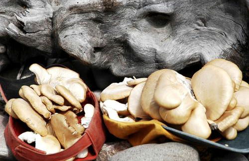 Fishing Getaway at a Riverside Resort near Beaverhead-Deerlodge National Forest, Montana - Foto 5