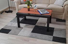 2-Raumwohnung in Dresden - Foto 9