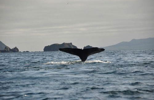 Secluded Waterfront Cottage Rental near Anchorage, Alaska - Foto 20