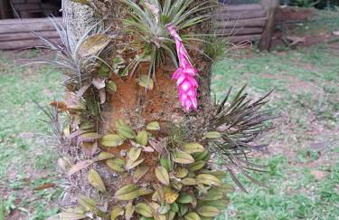 Cabana no Itaimbezinho - Foto 26