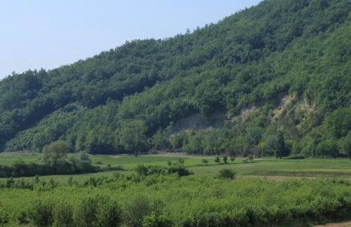 Apartments with a parking space Krbune, Central Istria - Sredisnja Istra - 7670 - Foto 19