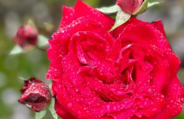 Villa Marinella - Foto 65