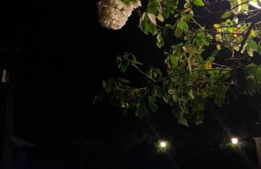 Ca'Melia Villetta - Foto 19