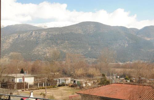 Domus Inn - Photo 70