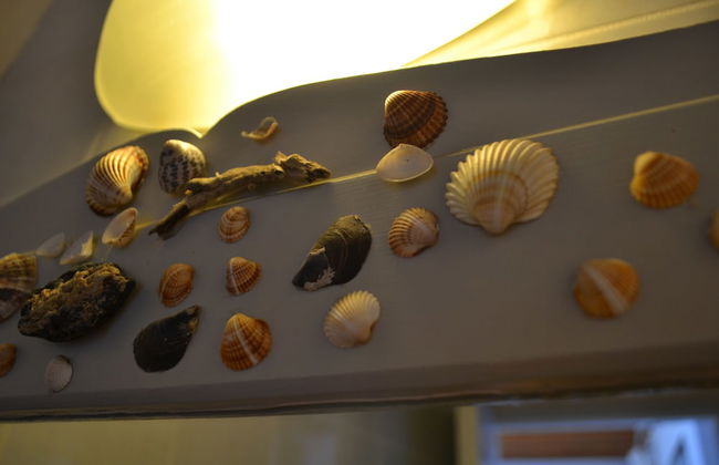 Villa Ioanna Greengrey- Vacation Houses for Rent Close to the Beach - Photo 9