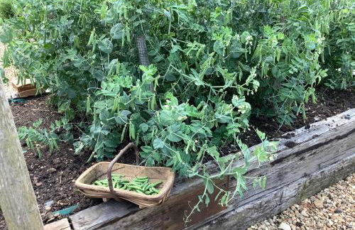 Hollyhock Cottage, Clematis cottages, Stamford - Foto 33