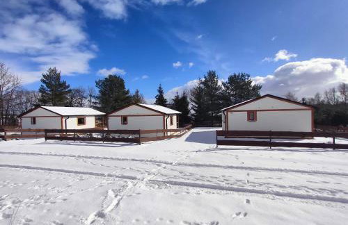 Agroturystyka Zagroda Alpaka - Foto 39