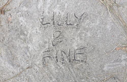 Lilly & Fine - Photo 4