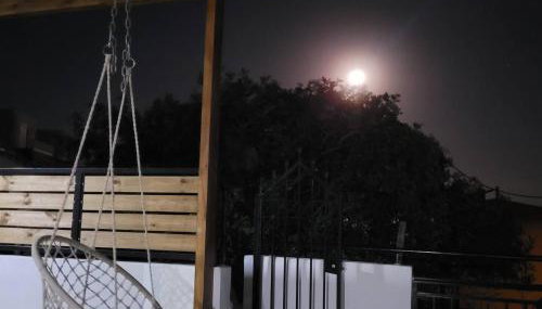 Kona Marina - Foto 5