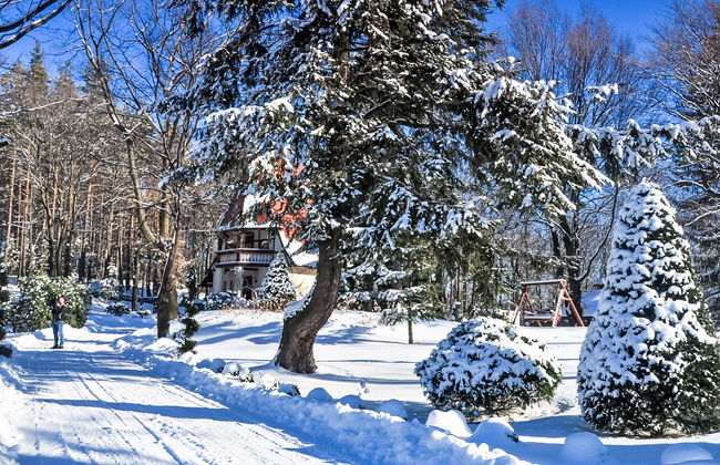 Lawendowe Wzgórze - Foto 37