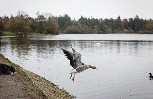 Bay Tree Cottage - Foto 92