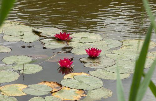 Chateau L' Escale - Photo 42