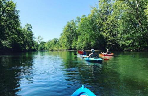 *The Governor's Mansion* Close to Downtown - Photo 65