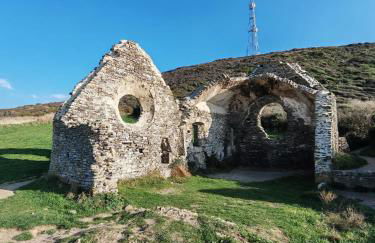 Les Sternes - Foto 73