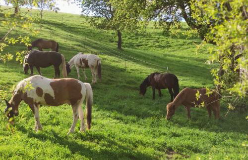 Biobetrieb Lippenhof - Foto 16