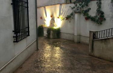 El Patrón - Foto 17