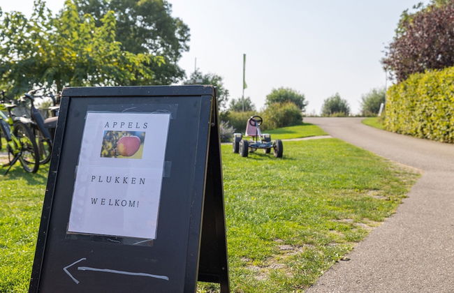 Holiday Home in Vrouwenpolder Near Beach - Photo 37