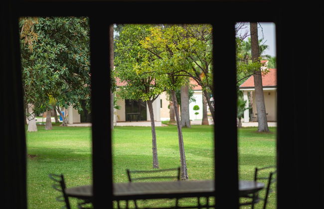 Diamant Vert - Photo 58