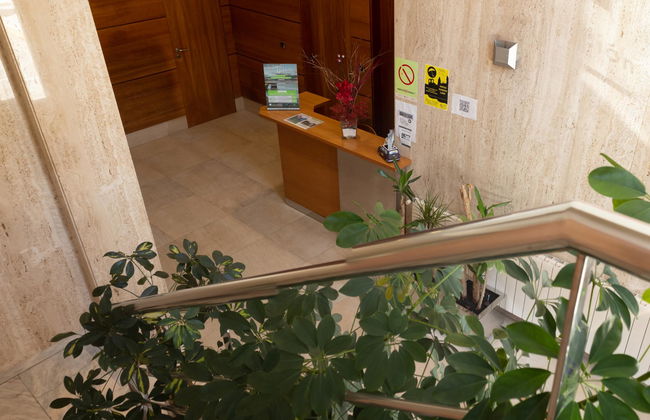 Ciudad de Lugo - Foto 22