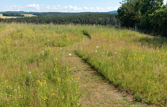Holiday Home with Garden & Terrace in Bodenwöhr near Hammersee - Foto 30